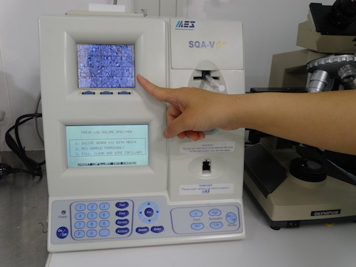 精子自動分析装置（SQA-V）